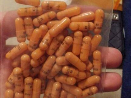 adderall italia | slipknot adderall | adderall que es | adderall españa | adderall deutschland | adderall kaufen | concerta vs adderall | how to get adderall in canada | adderall para que sirve | adderall in mexico | adderall farmaco | adderall in italia | adderall droga | adderall prezzo | adderall slipknot | adderall cos'è | ritalin e adderall | adderall en españa | que es adderall | adderall comprar | adderall efectos | adderall ireland | adderall in deutschland | adderall droge | adderall wirkung | was ist adderall | adderall canada | adderall mexico | adderall plm | adderall efectos | where to buy adderall | where can i buy adderall | buy adderall online without prescription | buy adderall without prescription | how to buy adderall | can you buy adderall in mexico | buy adderall online overnight